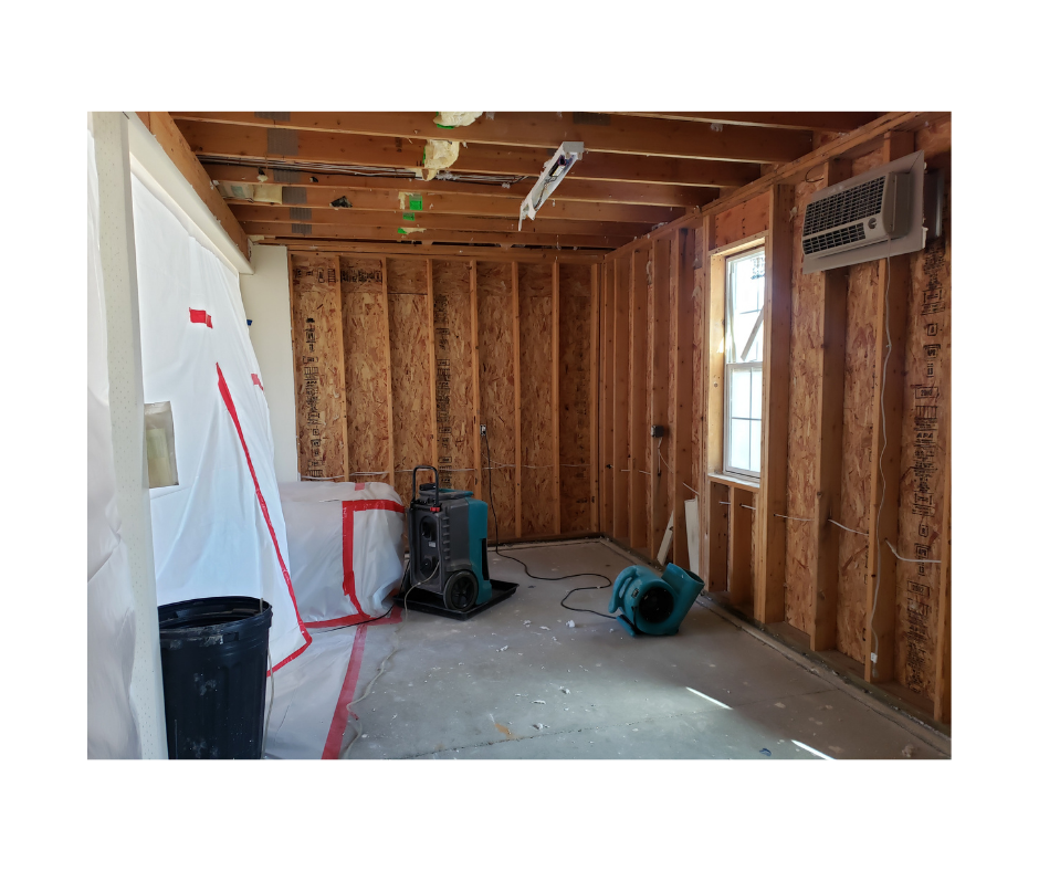 Mold removal technician at work